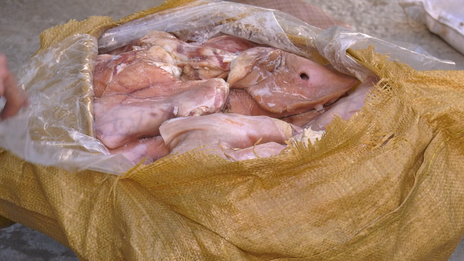 Ảnh 5. tai Lợn .jpg