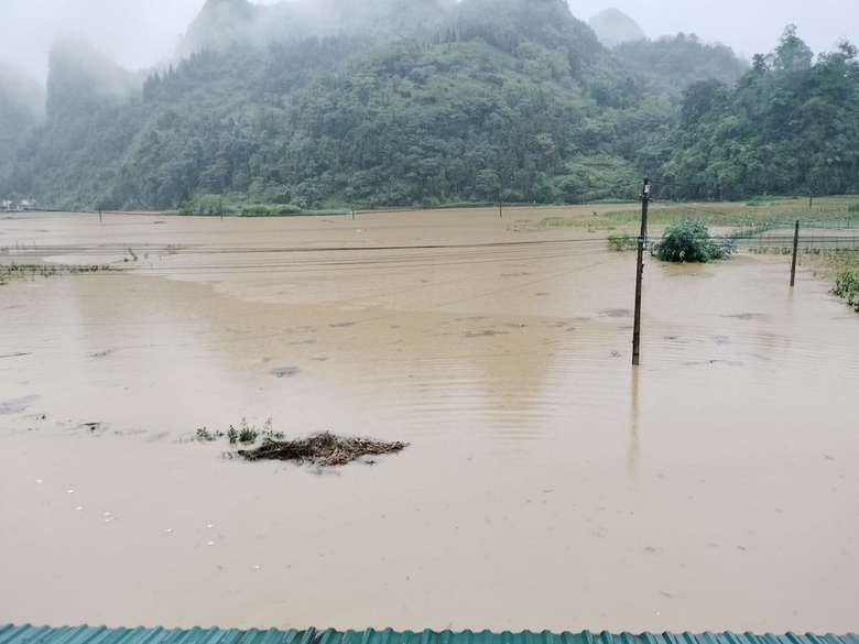 Ngập úng gây thiệt hại cây trồng trong mùa mưa lũ năm 2022. Ngập úng gây hại hoa màu trong mùa mưa lũ năm 2022..jpg