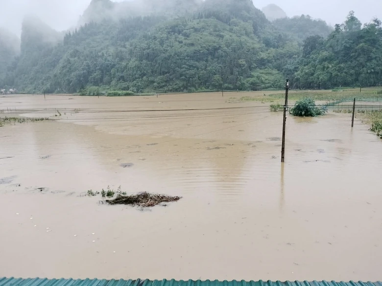Ngập úng gây hại hoa màu trong mùa mưa lũ năm 2022..jpg