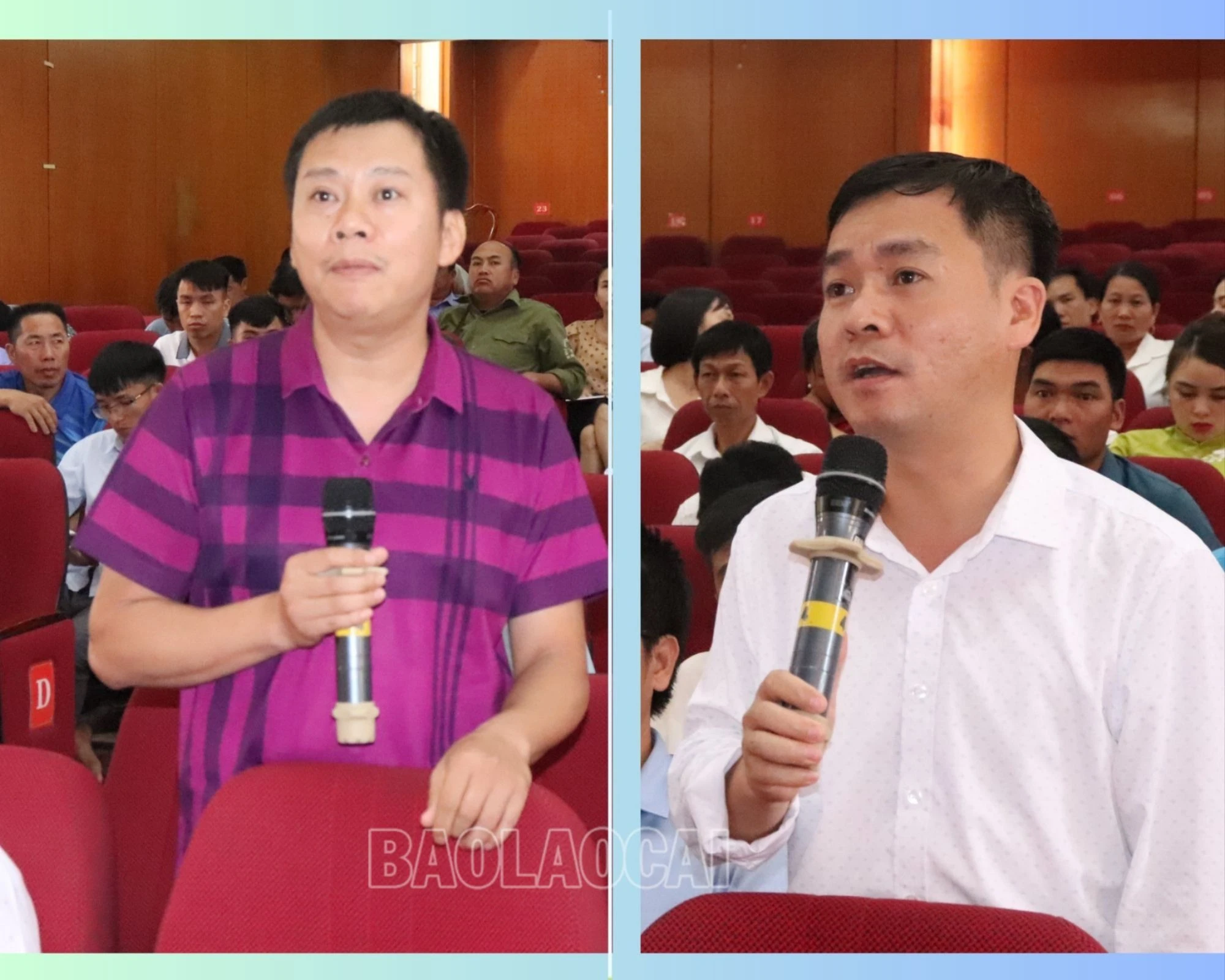 các nganh trả lời y kiên.jpg