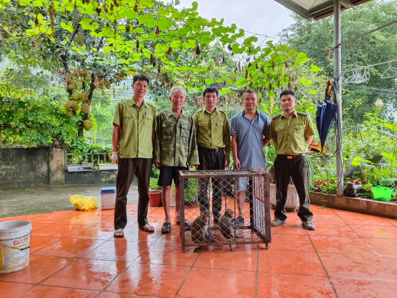 người dân bàn giao 2 cá thể khỉ.jpg