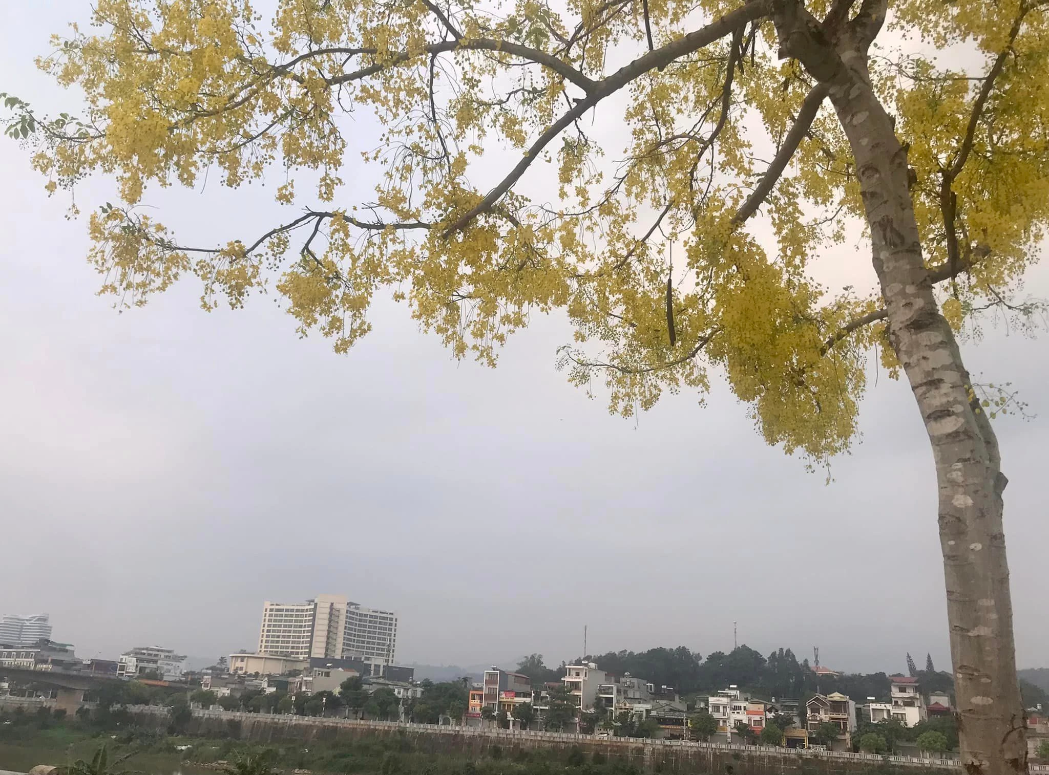 Khách sạn hiện đại nhất Kim Tân.jpg