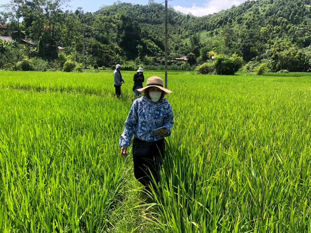 cán bộ cơ quan chuyên môn thăm nắm đồng ruộng.jpg