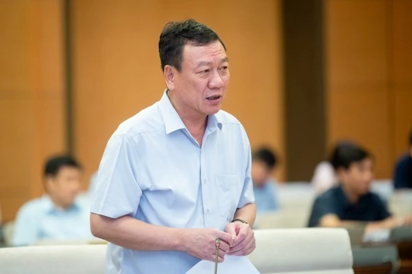 Tổng Thanh tra Chính phủ Đoàn Hồng Phong. Ảnh: TL.