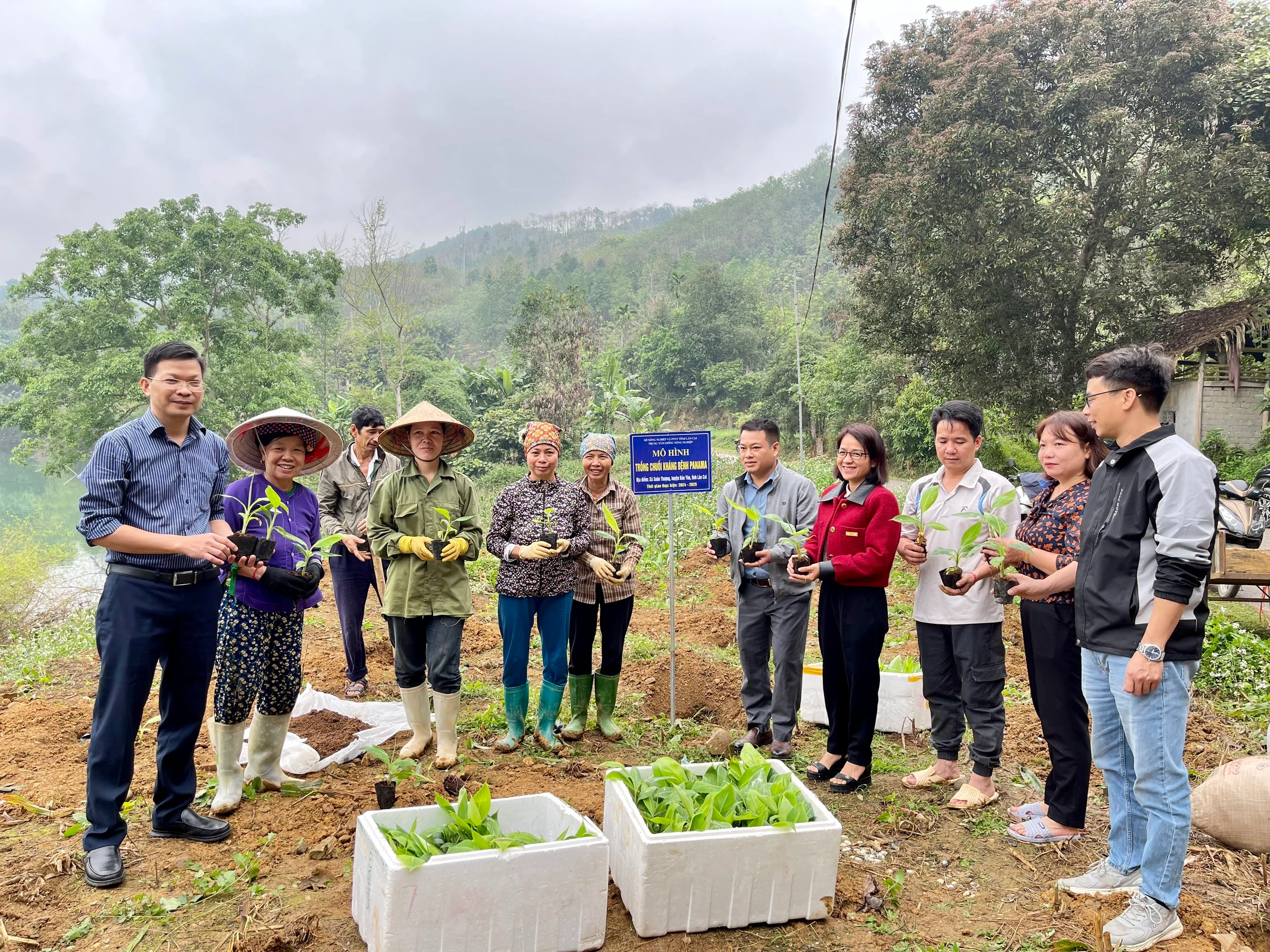 Cấp giống cho hộ gia đình để triển khai thực hiện mô hình.jpg