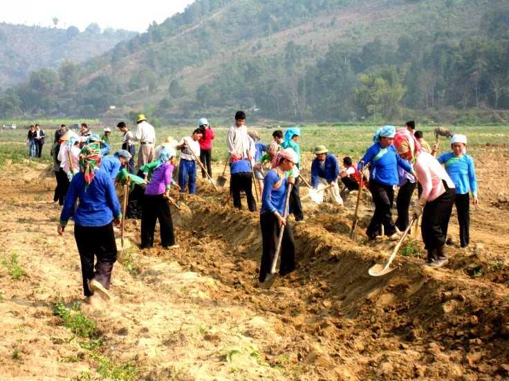 Tổ quản lý và Nhân dân thực hiện các biện pháp bảo vệ công trình thủy lợi. 4.jpg