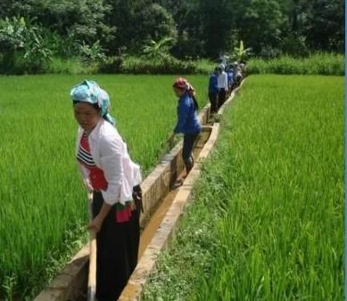 Tổ Quản lý và Nhân dân thực hiện các biện pháp bảo vệ công trình thủy lợi..jpg