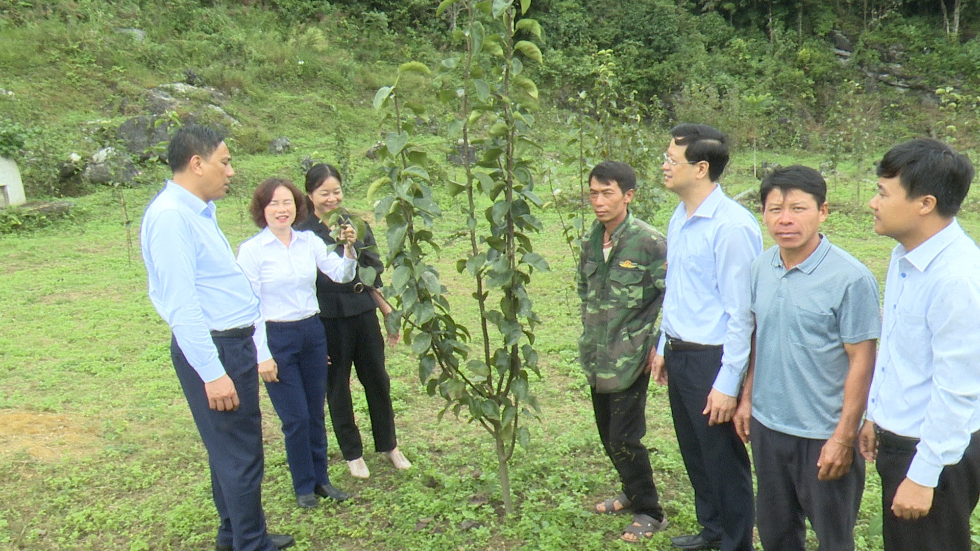 Kiểm tra mô hình trồng cây ăn quả ôn đới tại thôn Hoàng Hạ, xã Hoàng Thu Phố. Hoàng Giang 2.jpg