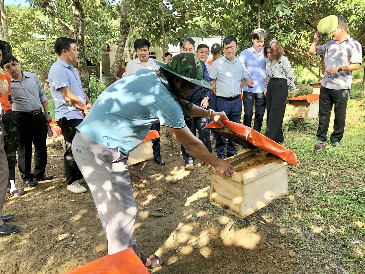 Mô hình nuôi ong trong vườn cây ăn quả ở xã Sơn Lộc, huyện Can Lộc (Hà Tĩnh). VAC.jpg