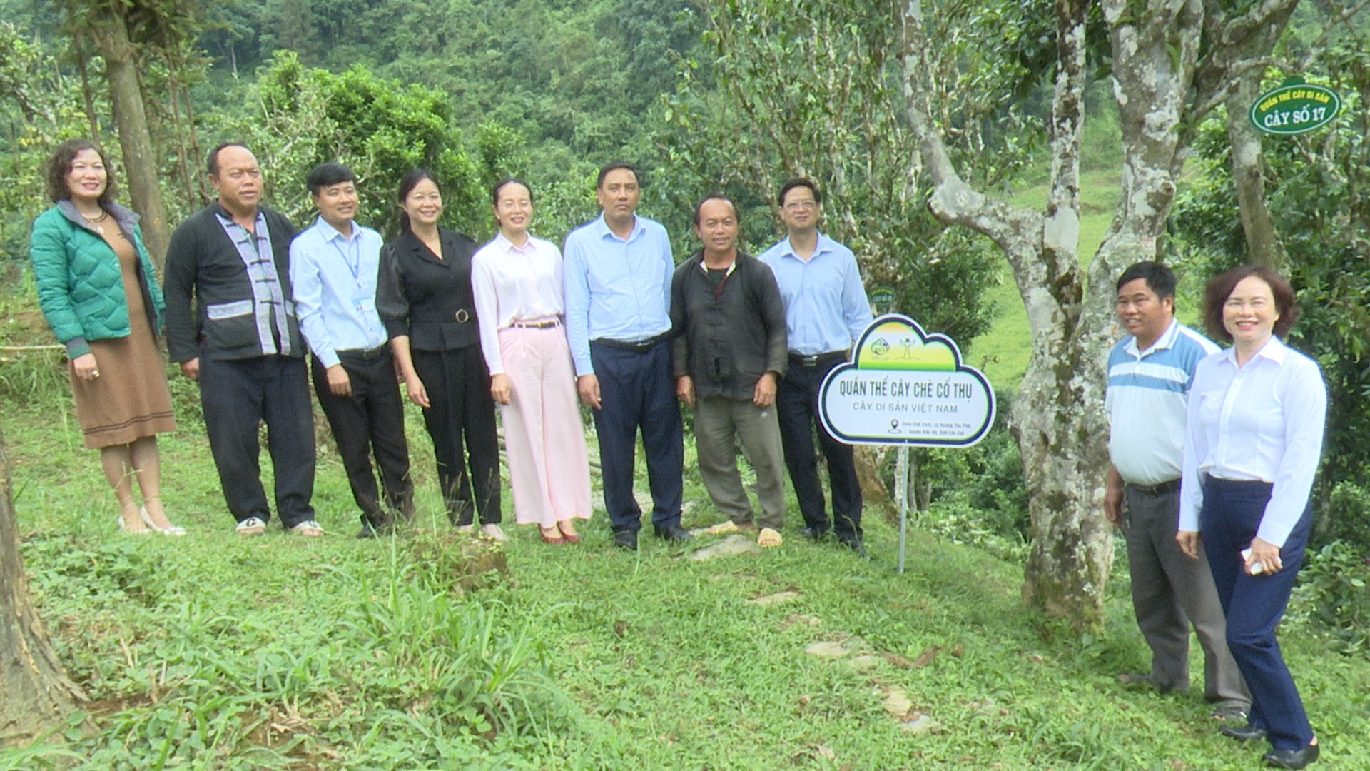 Kiểm tra quần thể 105 cây chè Shan tuyết tại thôn Chồ Chải, xã Hoàng Thu Phố. Hoàng Giang 1.jpg