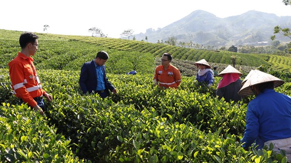 Ảnh minh họa: Nhân viên của Công ty Cổ phần Tài nguyên Masan hướng dẫn người dân địa phương kỹ thuật trồng chè sạch. (Nguồn: Báo Quân đội nhân dân) Ảnh minh họa: Nhân viên của Công ty Cổ phần Tài nguyên Masan hướng dẫn người dân địa phương kỹ thuật trồng chè sạch. (Nguồn: Báo Quân đội nhân dân)