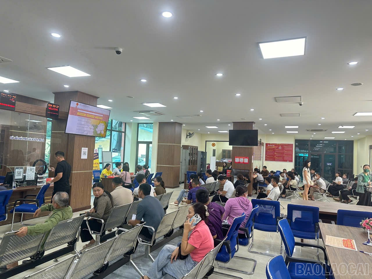 baolaocai-br_hcc.jpg