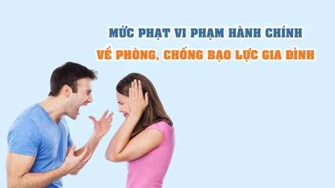Mức phạt vi phạm hành chính về phòng, chống bạo lực gia đình
