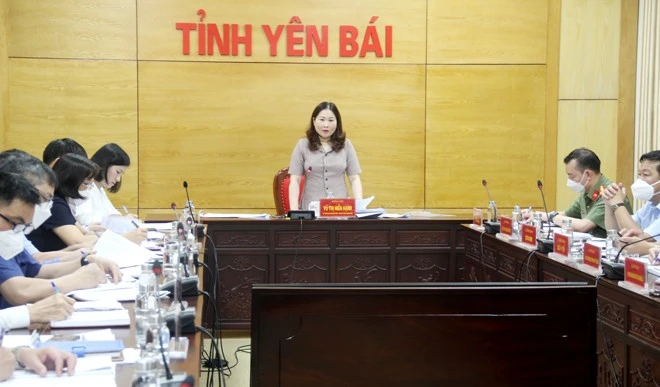 Đồng chí Vũ Thị Hiền Hạnh – Phó Chủ tịch UBND tỉnh phát biểu chỉ đạo.