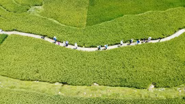 Nâng cao trách nhiệm cộng đồng xây dựng Tả Van sạch - hạnh phúc