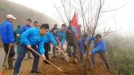 Tỉnh đoàn - Hội Liên hiệp Thanh niên Việt Nam tỉnh phát động Tết trồng cây “Đời đời nhớ ơn Bác Hồ"