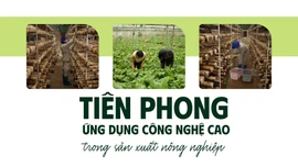 Tiên phong ứng dụng công nghệ cao trong sản xuất nông nghiệp