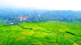 Vẻ đẹp của những "vựa lúa" nhìn từ trên cao