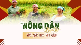 Cùng nông dân Bát Xát làm giàu