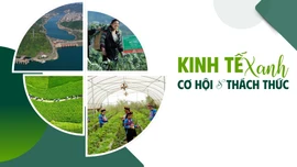 Kinh tế xanh: Cơ hội và thách thức