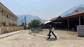 Chủ động ứng phó với gió Ô Quý Hồ