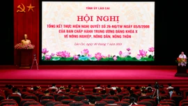 Lào Cai đạt nhiều thành tựu nổi bật trong nông nghiệp, nông dân, nông thôn
