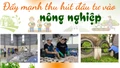 Đẩy mạnh thu hút đầu tư vào nông nghiệp