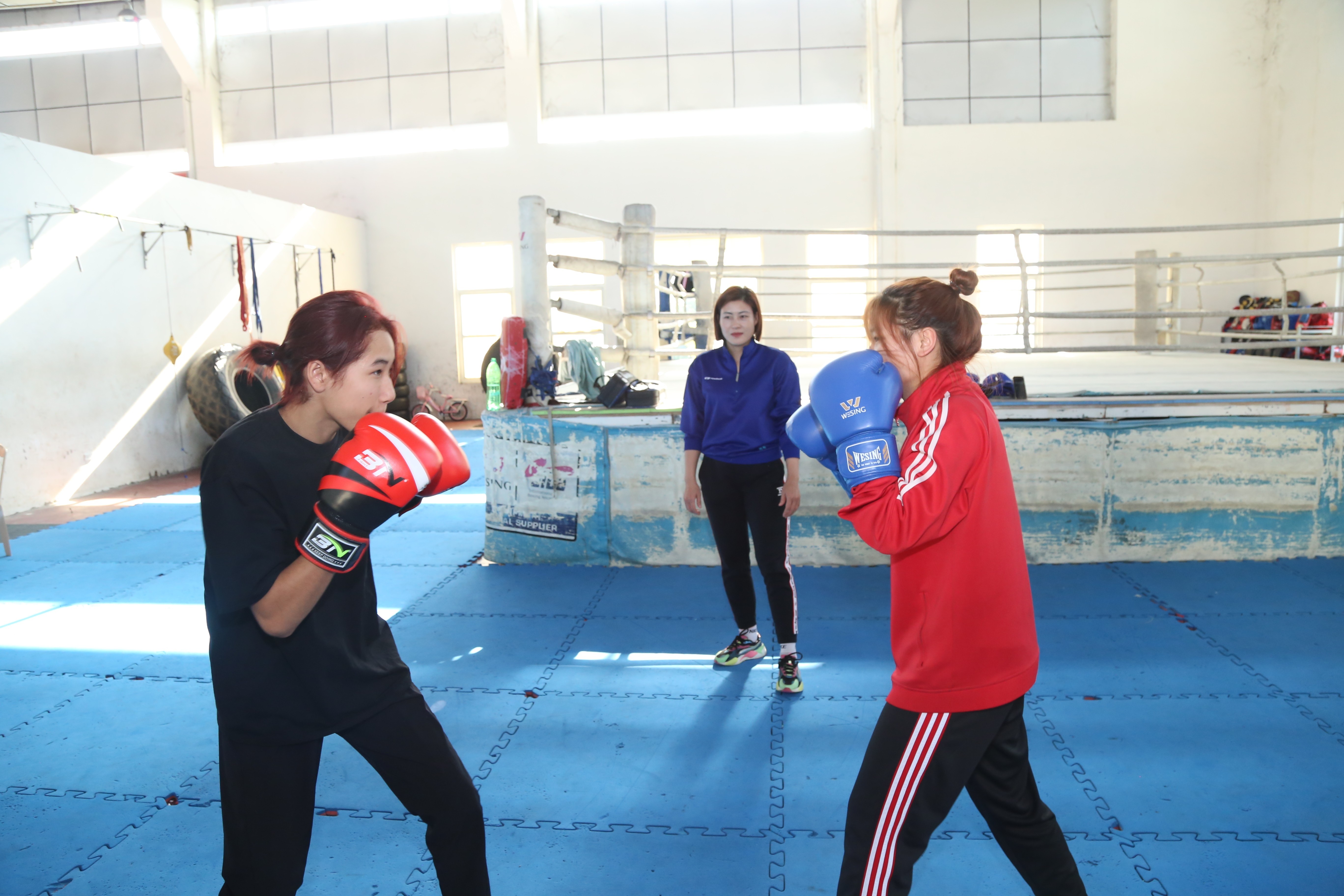 Các vận động viên boxing tại Trung tâm Huấn luyện và Thi đấu thể dục, thể thao tỉnh tích cực luyện tập. bx1-4.jpg