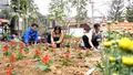 Xã Lâm Giang triển khai phong trào "Trồng hoa đón Tết, gắn kết lòng dân"