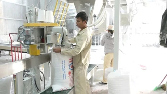 “Đánh thức” vùng nguyên liệu bằng đòn bẩy công nghiệp chế biến