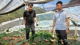 Mù Cang Chải: Tỷ lệ hộ nghèo còn trên 16%