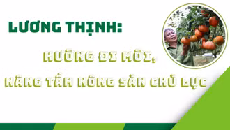 Lương Thịnh: Hướng đi mới, nâng tầm nông sản chủ lực