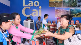 Hương vị núi rừng Lào Cai "hút hồn" du khách giữa lòng Thủ đô