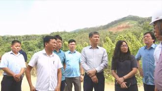 Phó Chủ tịch UBND tỉnh Ngô Hạnh Phúc kiểm tra tiến độ Dự án 500kV Lào Cai - Vĩnh Yên