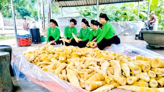 Lâm Thượng rộn ràng vào vụ măng mai