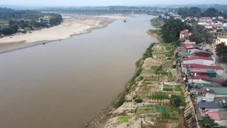 Đảng lãnh đạo, lòng dân đồng thuận, chính quyền quyết tâm