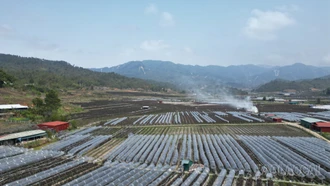 Cuộc cách mạng trên đất khó Púng Luông