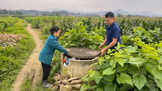 Cần một quy trình đồng bộ để bảo vệ "sức khỏe" đất canh tác