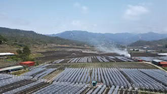 Cuộc cách mạng trên đất khó Púng Luông