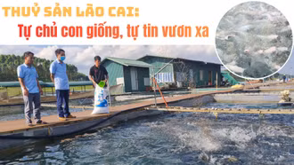 Thủy sản Lào Cai: Tự chủ con giống, tự tin vươn xa