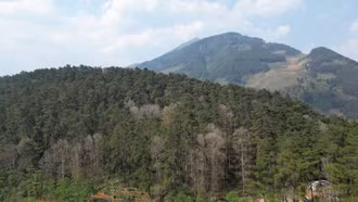 Siết chặt “kỷ cương thép”, giữ màu xanh trước sức nóng gió Lào