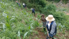 Sinh kế bền vững ở Khao Mang