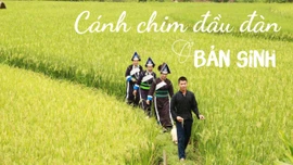 Bài 3: Cánh chim đầu đàn ở Bản Sinh