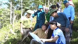 Tổ tự quản cộng đồng bảo vệ rừng thôn Háng Gàng cùng lực lượng Kiểm lâm khu vực Trạm Tấu kiểm tra bản đồ thực địa khu vực rừng phòng hộ của thôn.