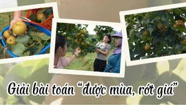 Giải bài toán “được mùa, rớt giá”