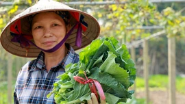 Tuy Lộc - màu xanh trở lại