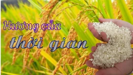 Hương của thời gian