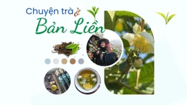 Chuyện trà ở Bản Liền