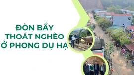 Đòn bẩy thoát nghèo ở Phong Dụ Hạ