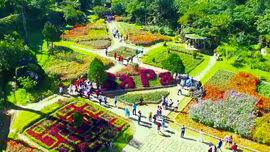 Nâng chất lượng dịch vụ - giữ hình ảnh điểm đến